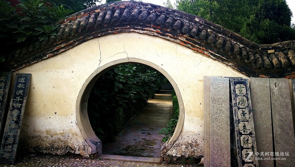 2018【药王庙的花卉、石头随拍】（手机版）