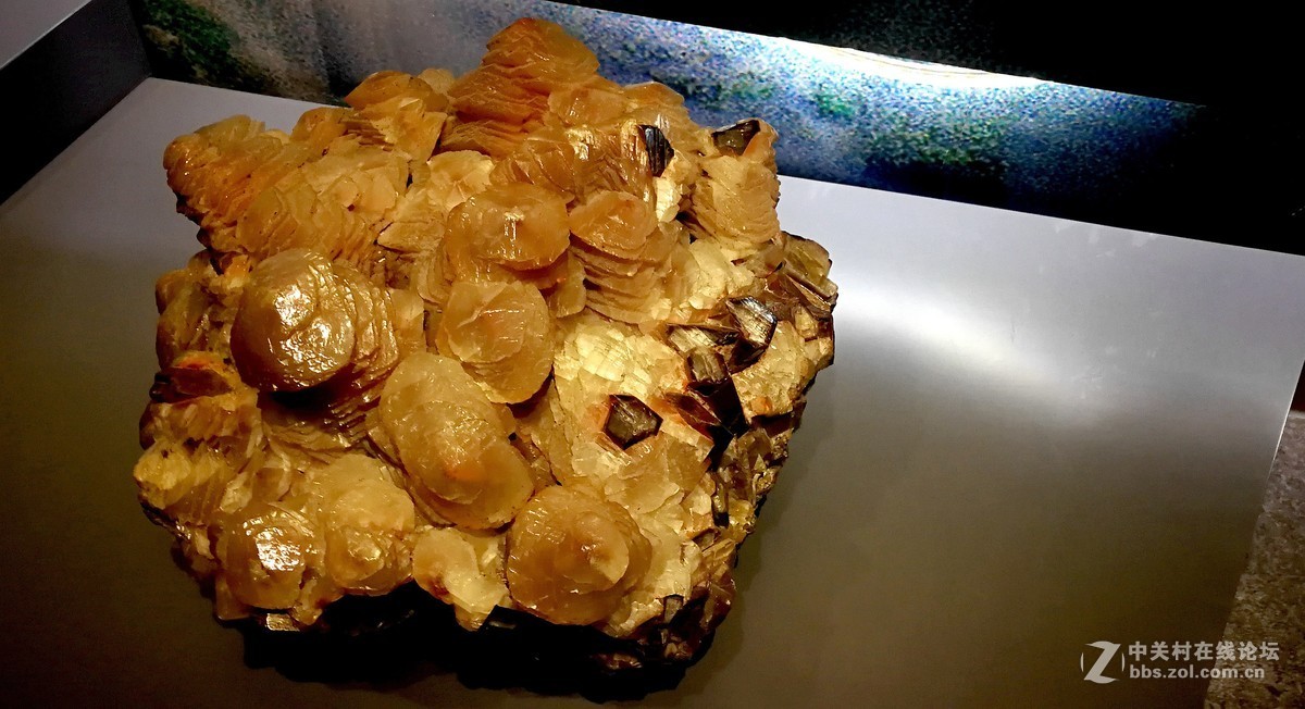 2018【药王庙的花卉、石头随拍】（手机版）