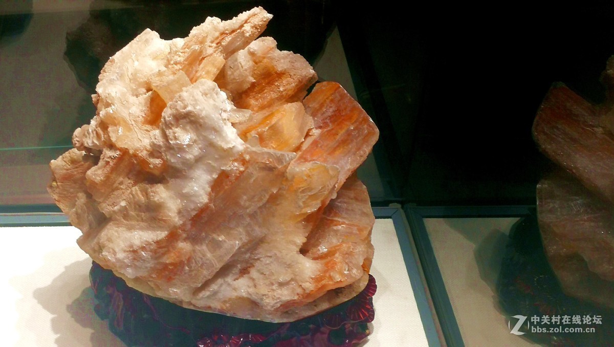 2018【药王庙的花卉、石头随拍】（手机版）