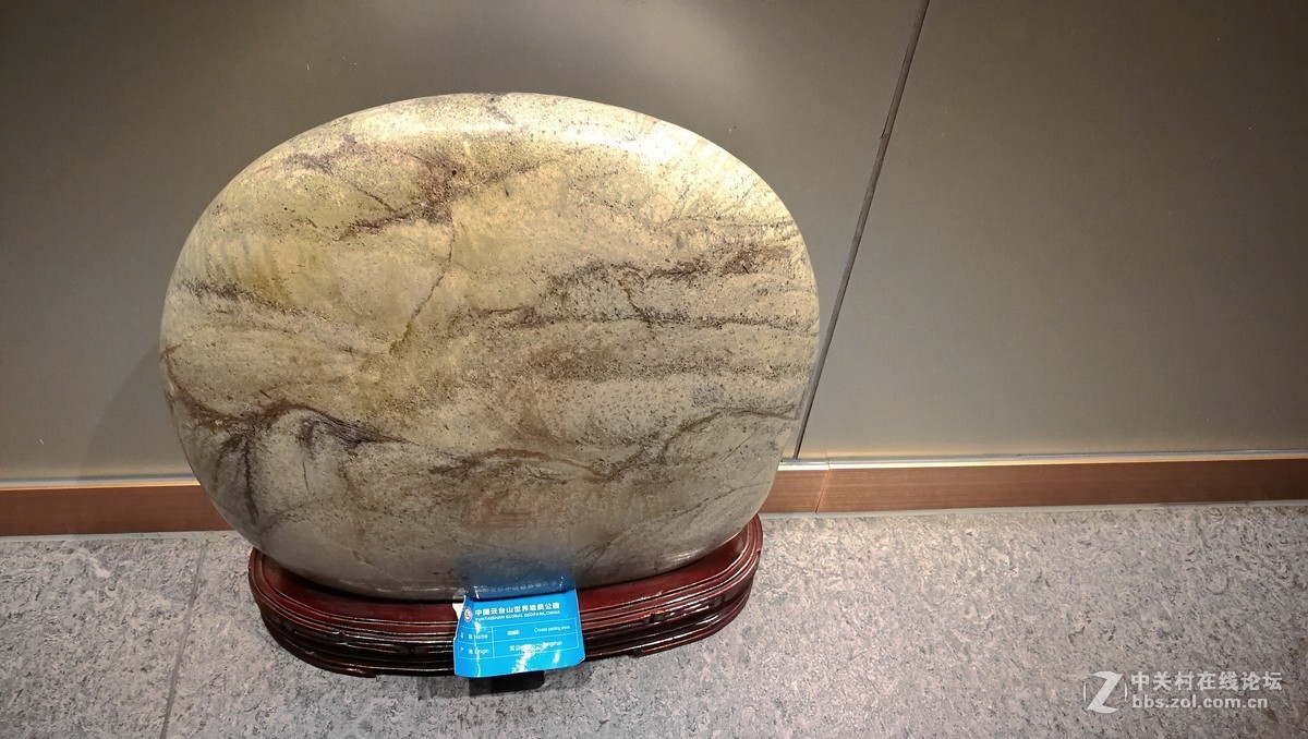 2018【药王庙的花卉、石头随拍】（手机版）