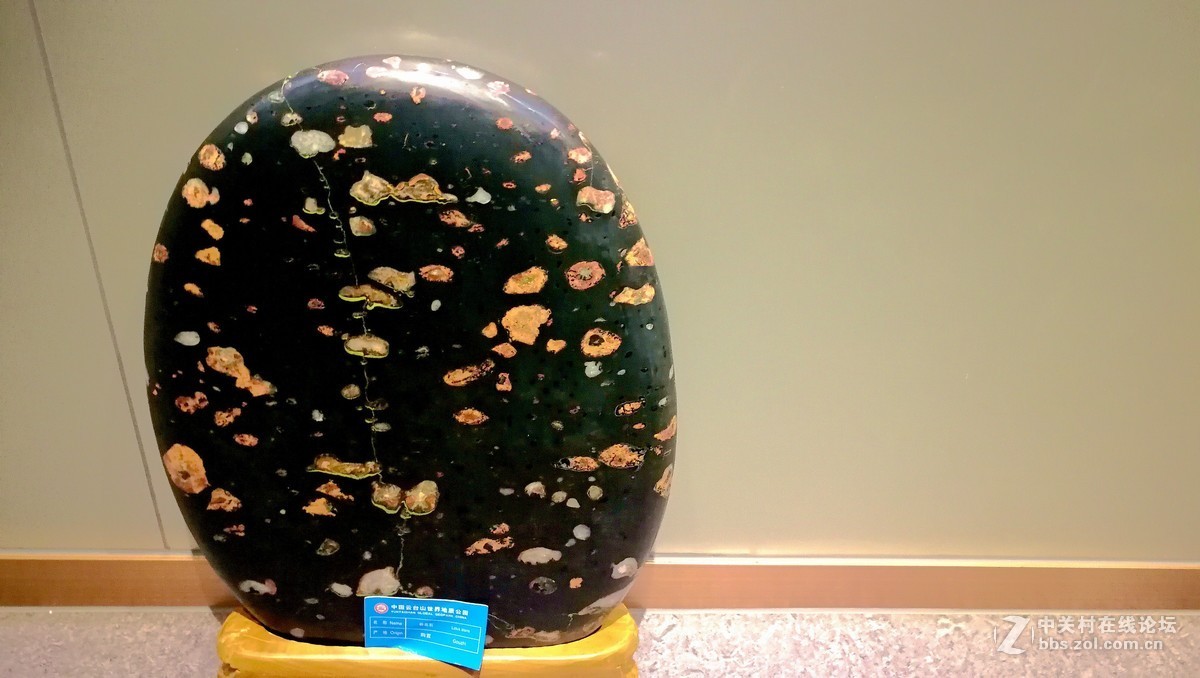 2018【药王庙的花卉、石头随拍】（手机版）