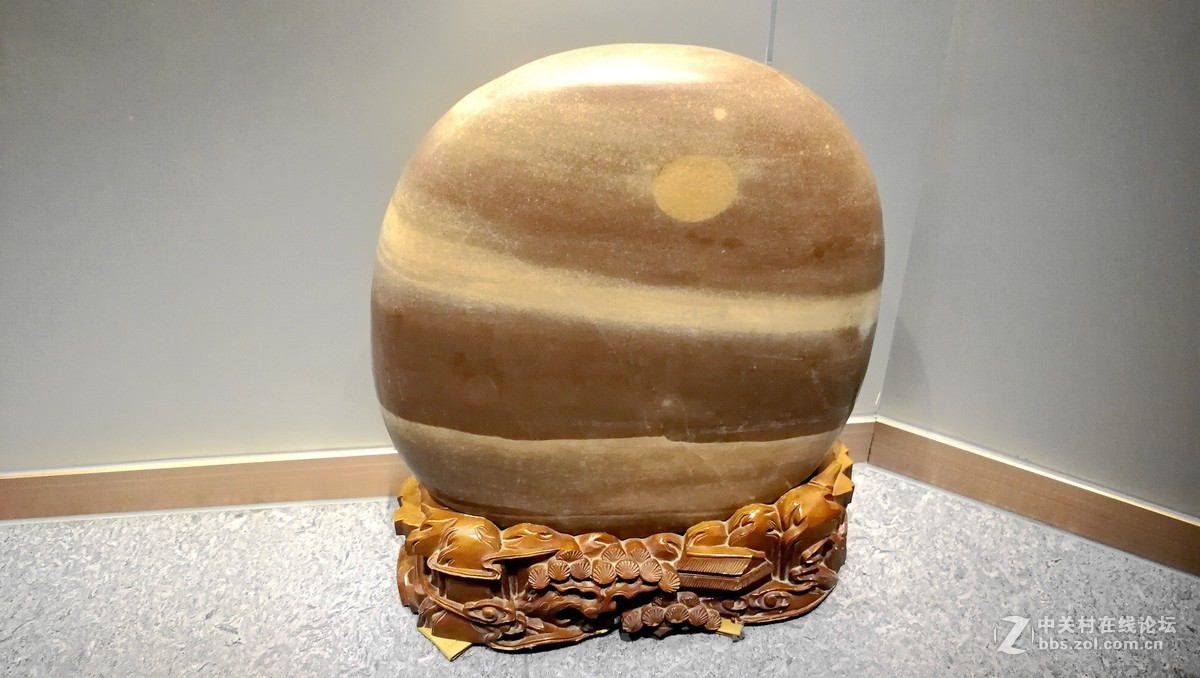 2018【药王庙的花卉、石头随拍】（手机版）