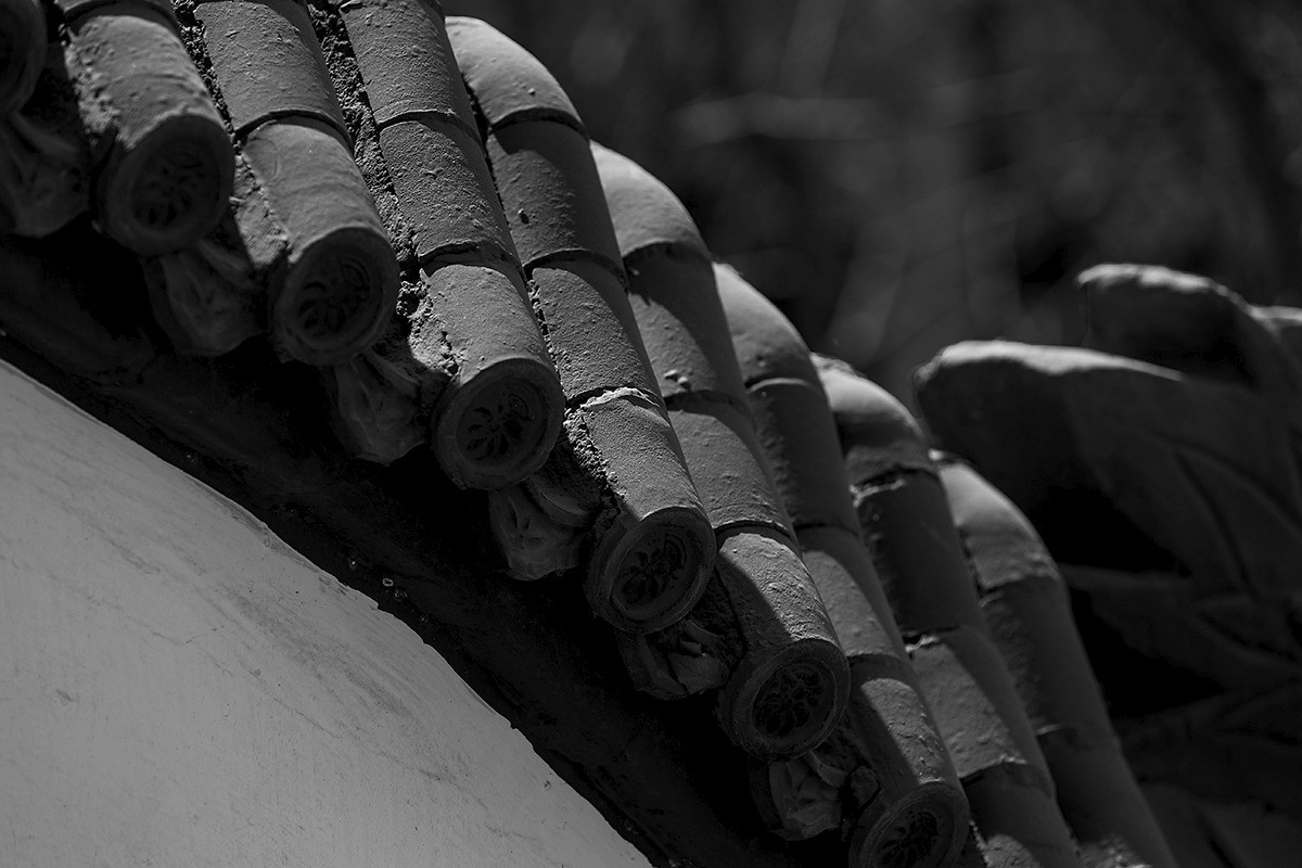 黑白习作——祝凡尘光影好友再担重任