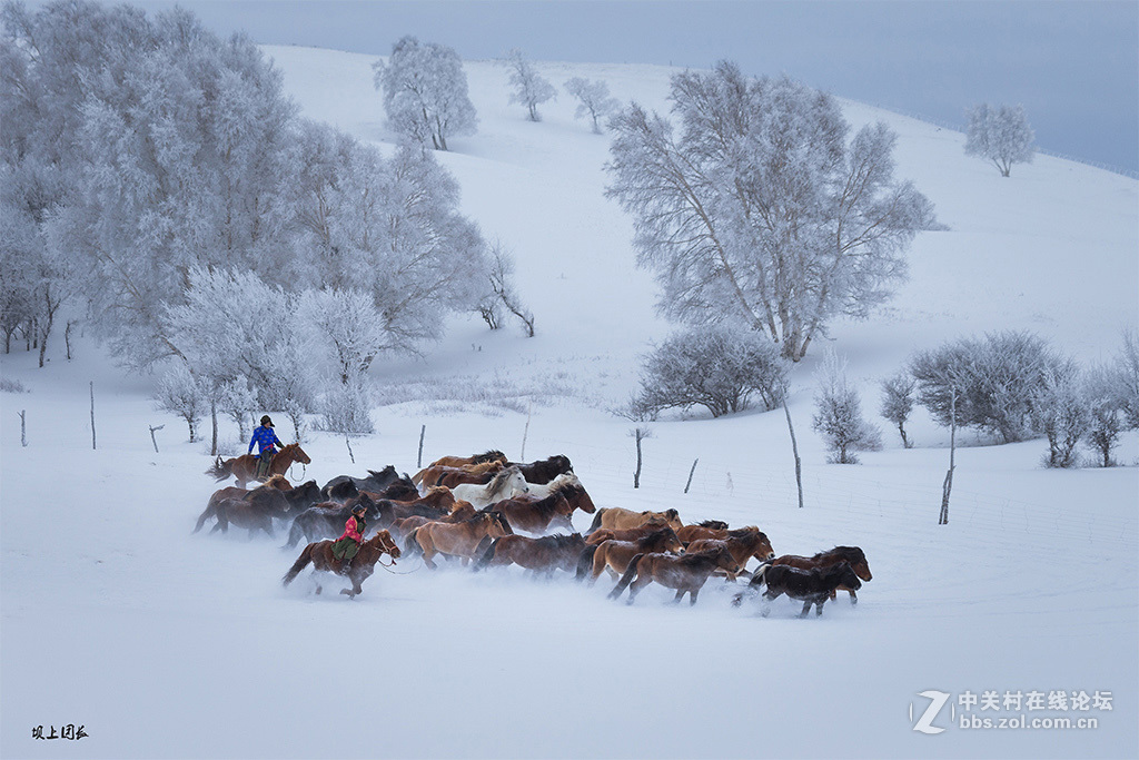 坝上新雪2015年11月27日