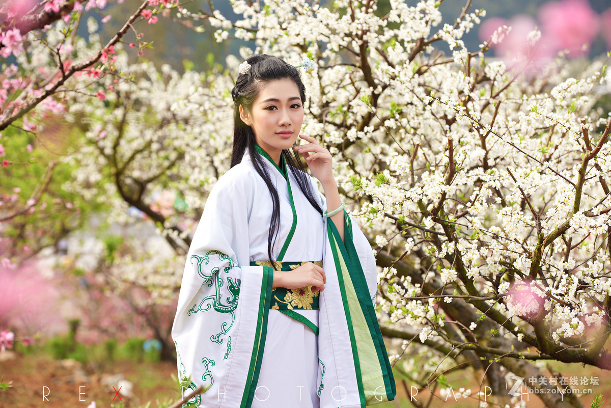 《桃李美》