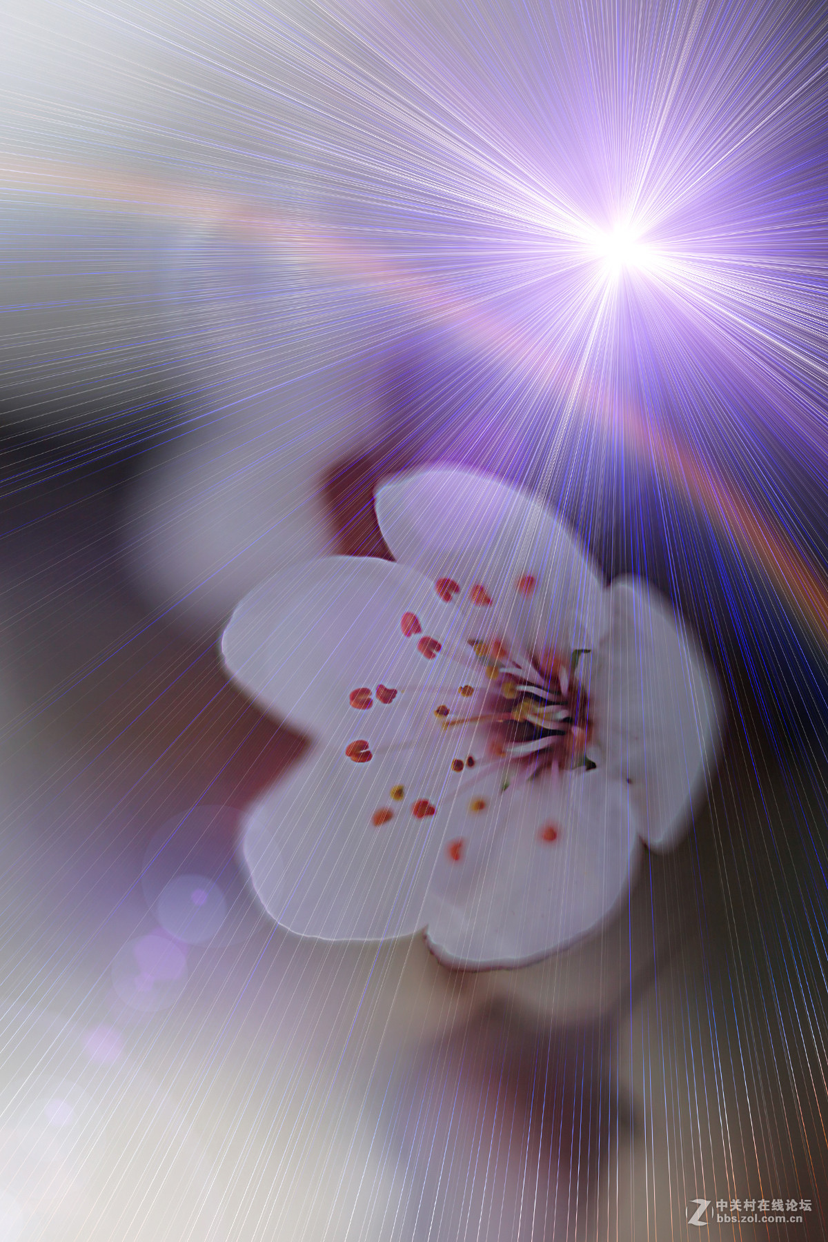 周末为50岁老妻随手拍几张，