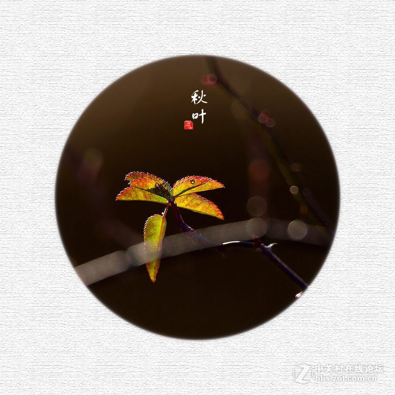秋叶