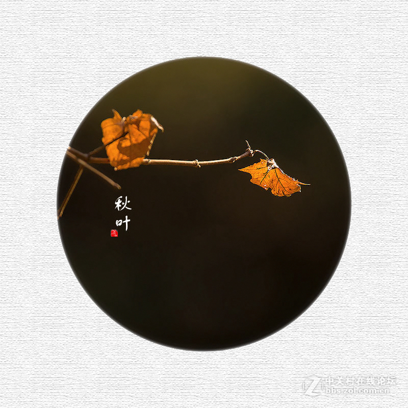 秋叶