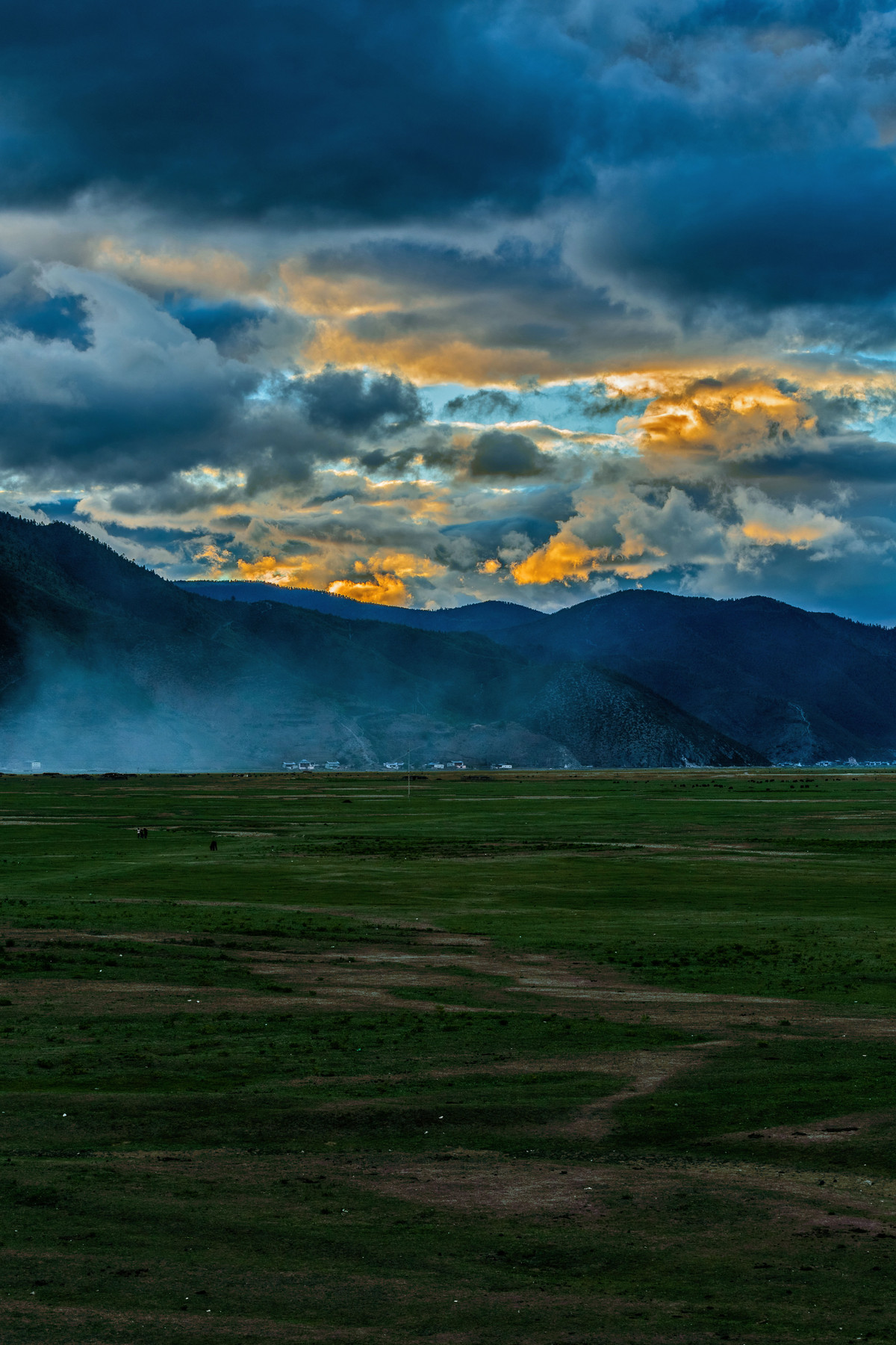 印象云南-香格里拉牧场黄昏