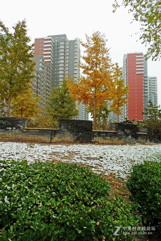北京初雪
