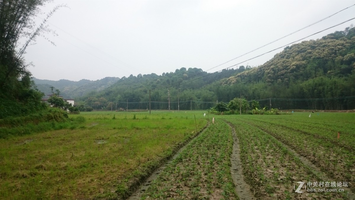 美丽乡村----车仔围