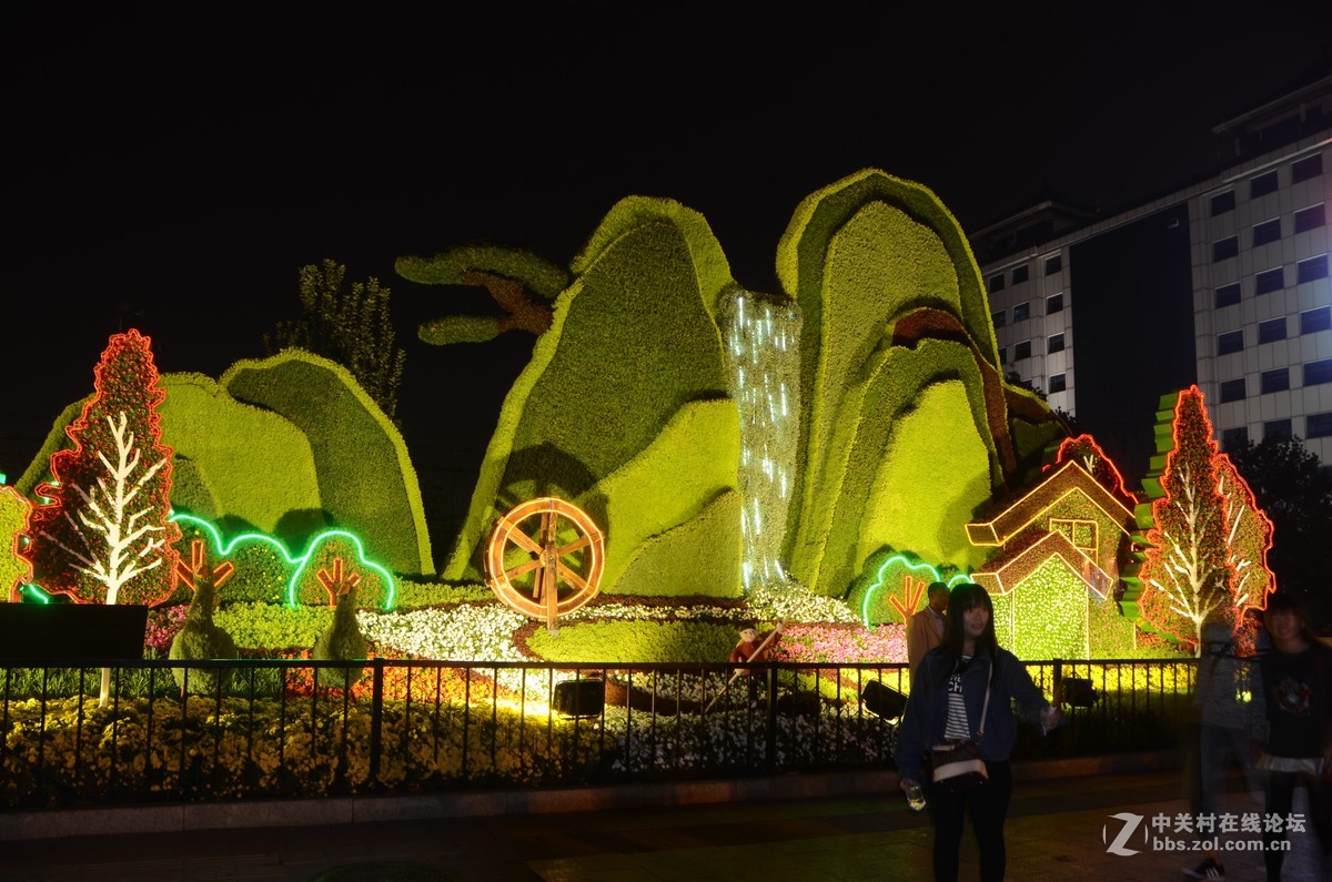 国庆节东单路口花坛夜景