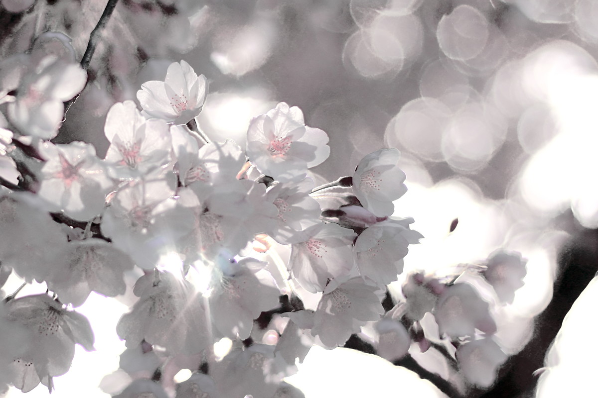 青岛中山公园，处处是风景