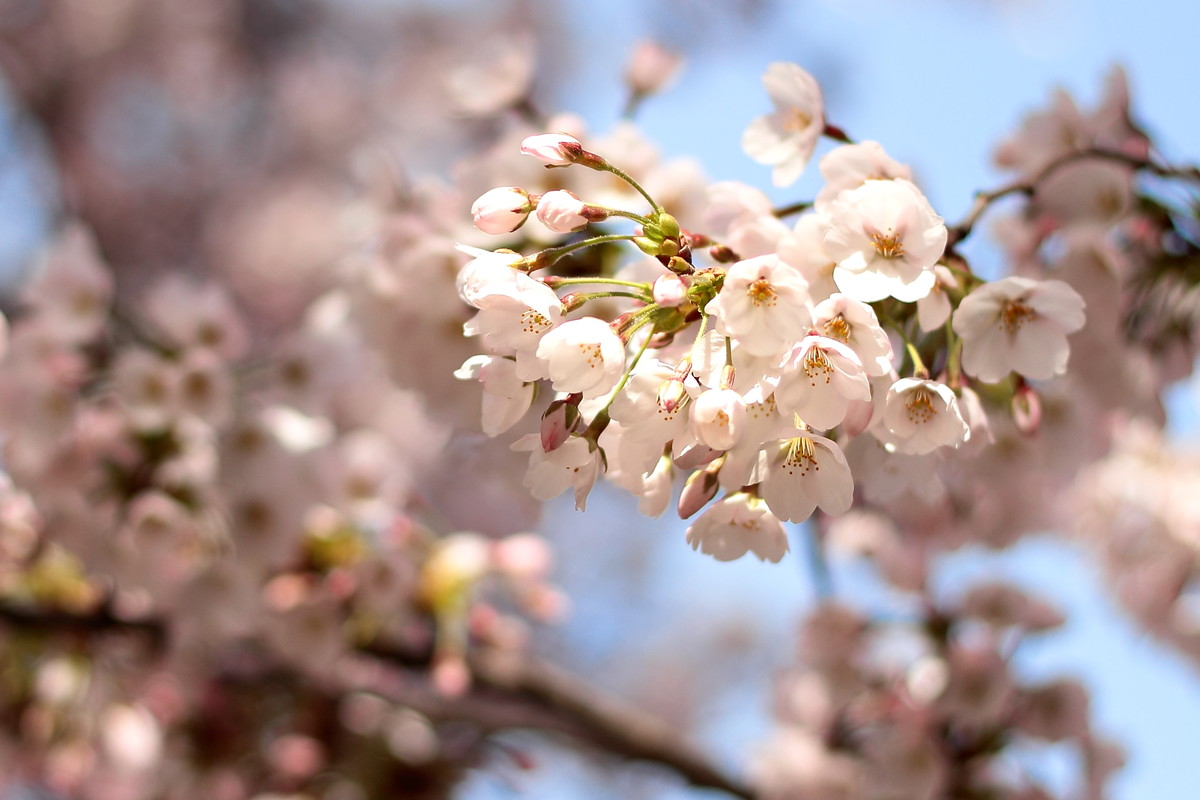 青岛中山公园，处处是风景