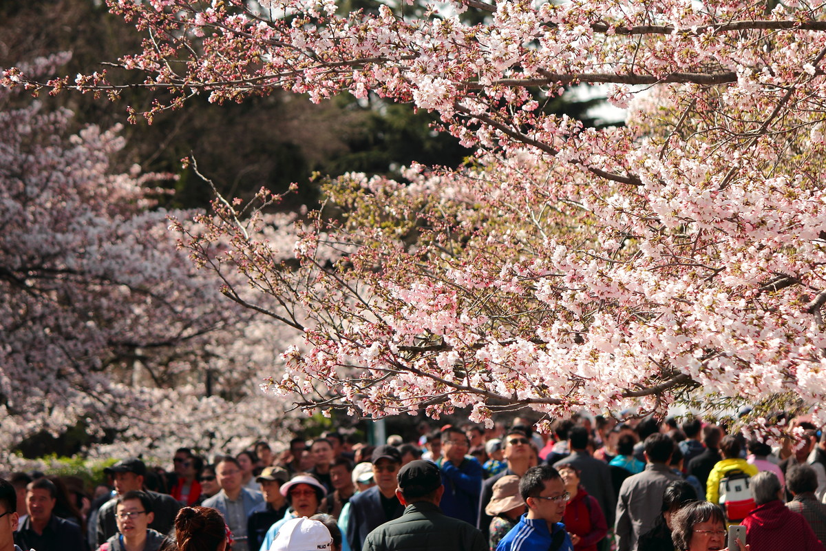 青岛中山公园，处处是风景