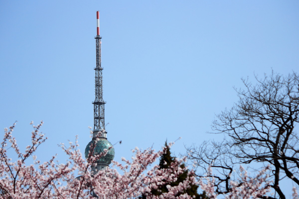 青岛中山公园，处处是风景