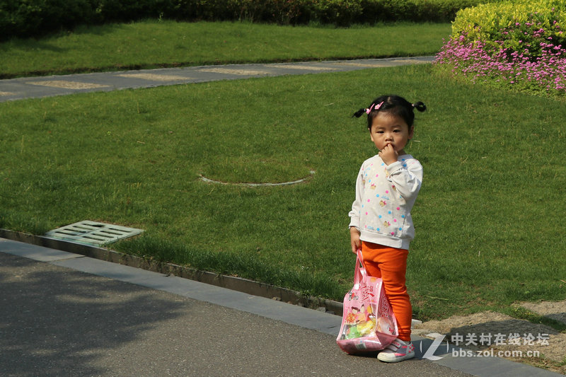 生活圈狭窄实在没什么好拍，题材也只有几多花了！