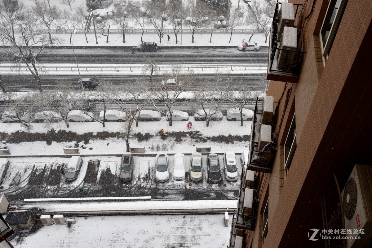 2019年我们小区的瑞雪