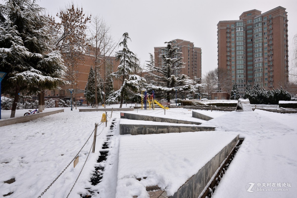 2019年我们小区的瑞雪