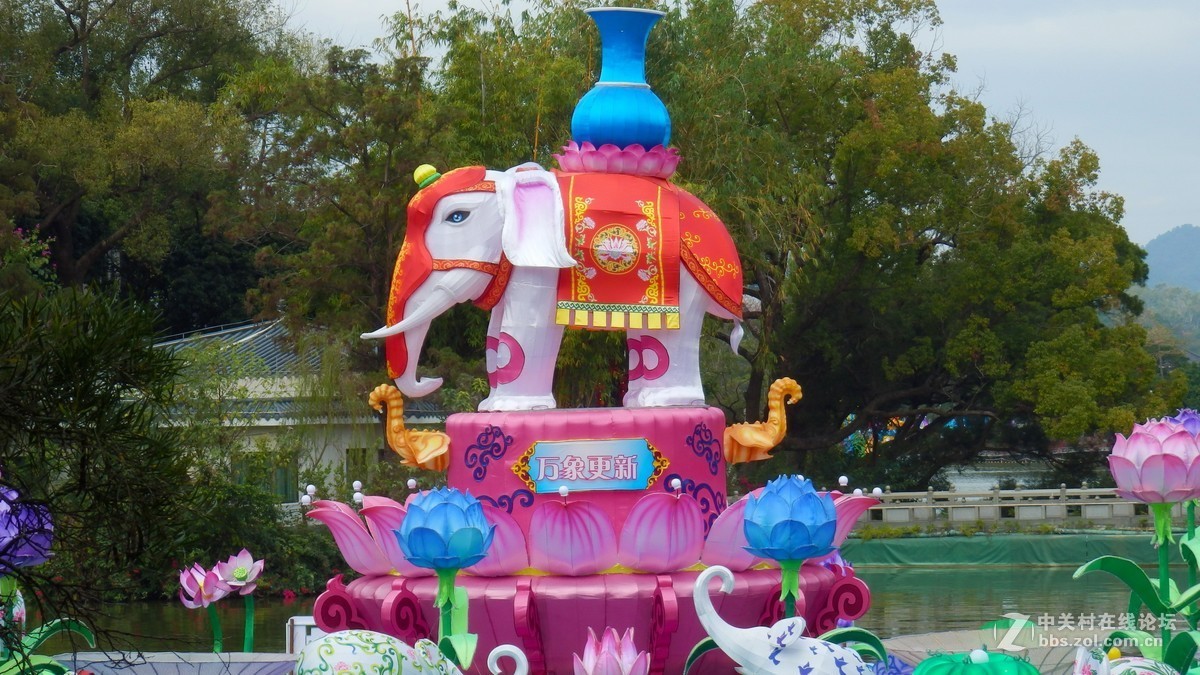 惠州西湖2019迎春花灯