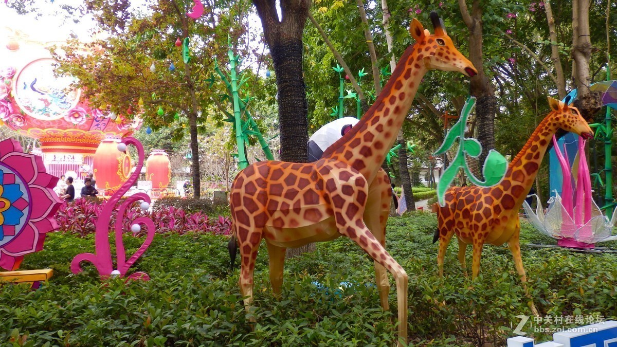 惠州西湖2019迎春花灯