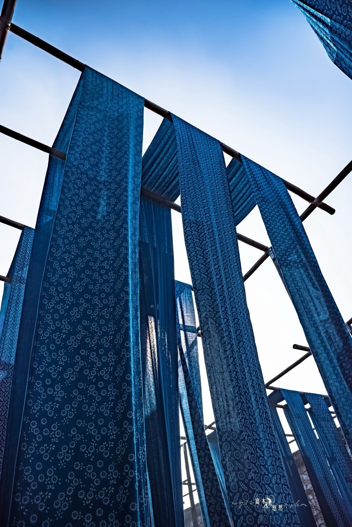 春节假期江浙沪纪行