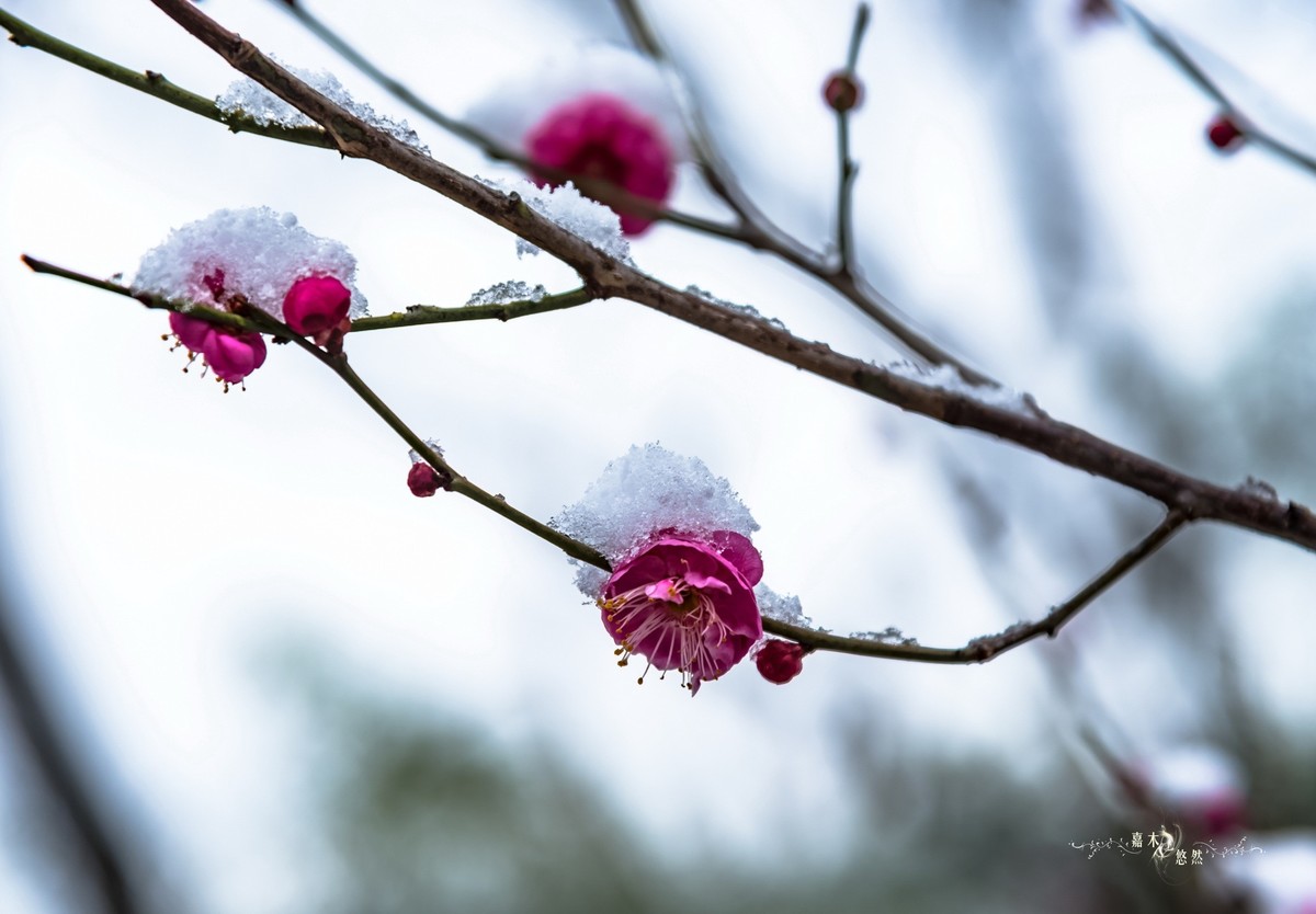 春节假期江浙沪纪行