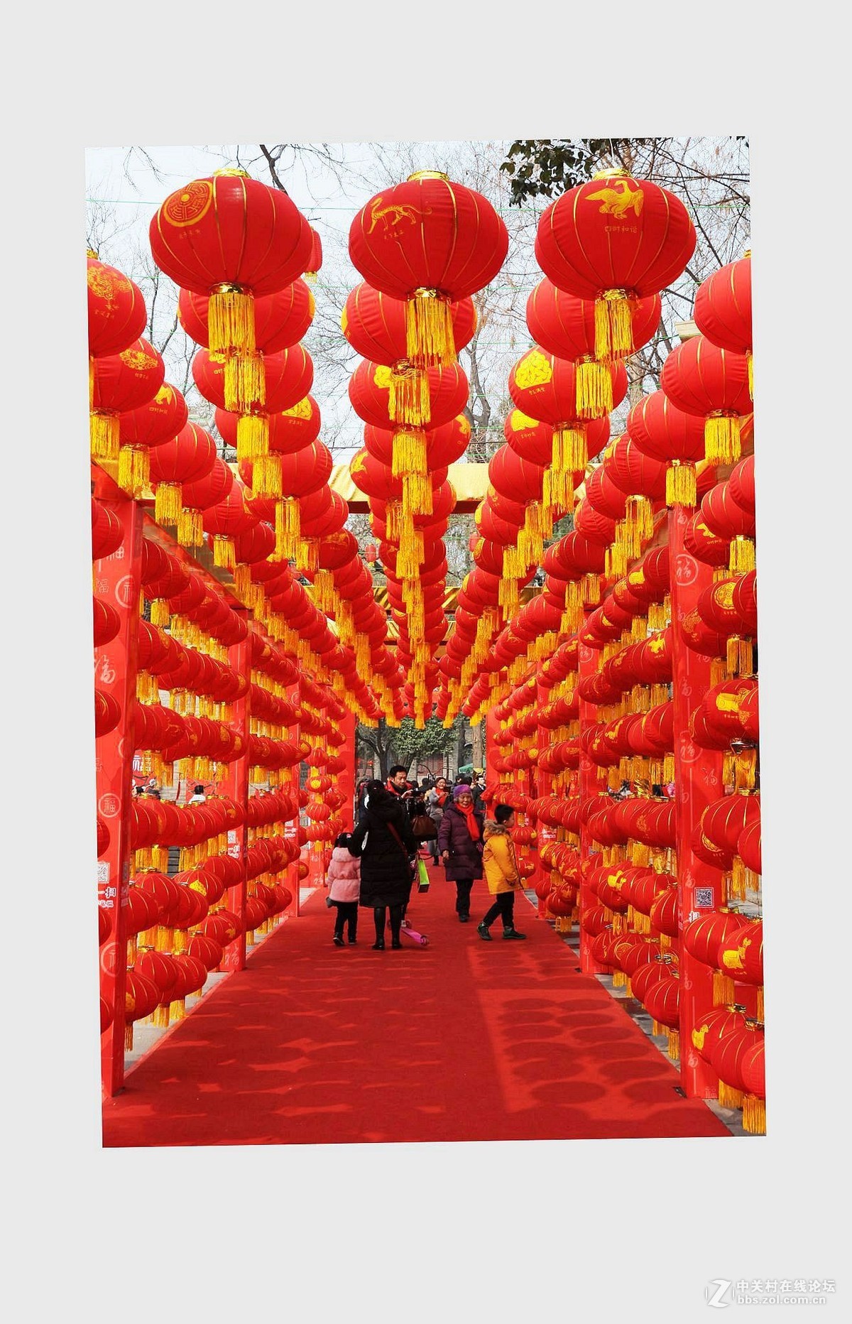 中国红红中国-中关村在线摄影论坛