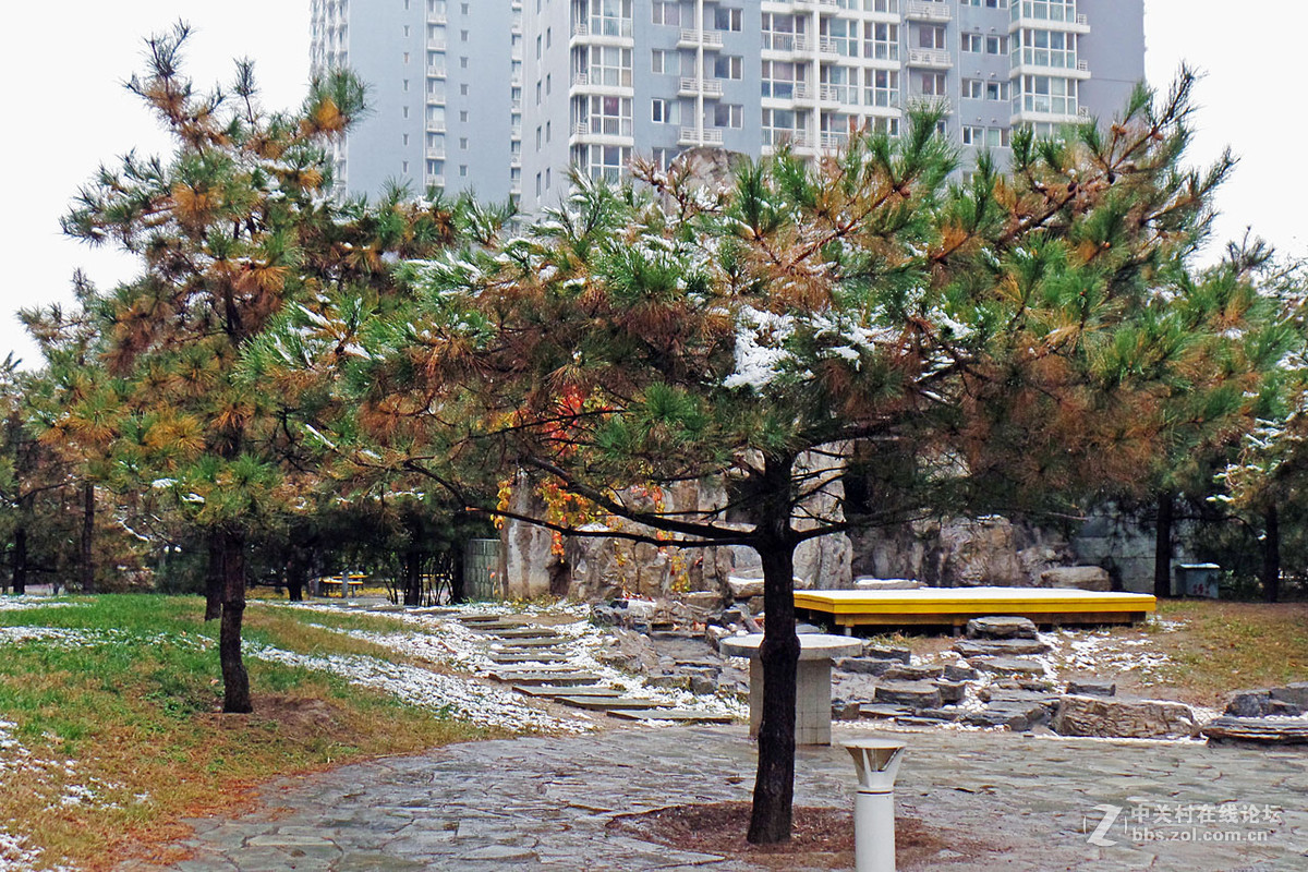 北京初雪