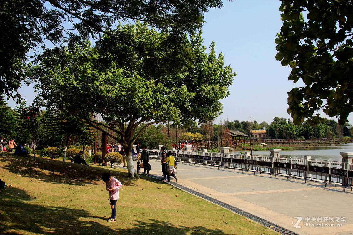 廣州海珠湖公園隨拍四