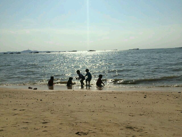 手机随拍，勿喷!