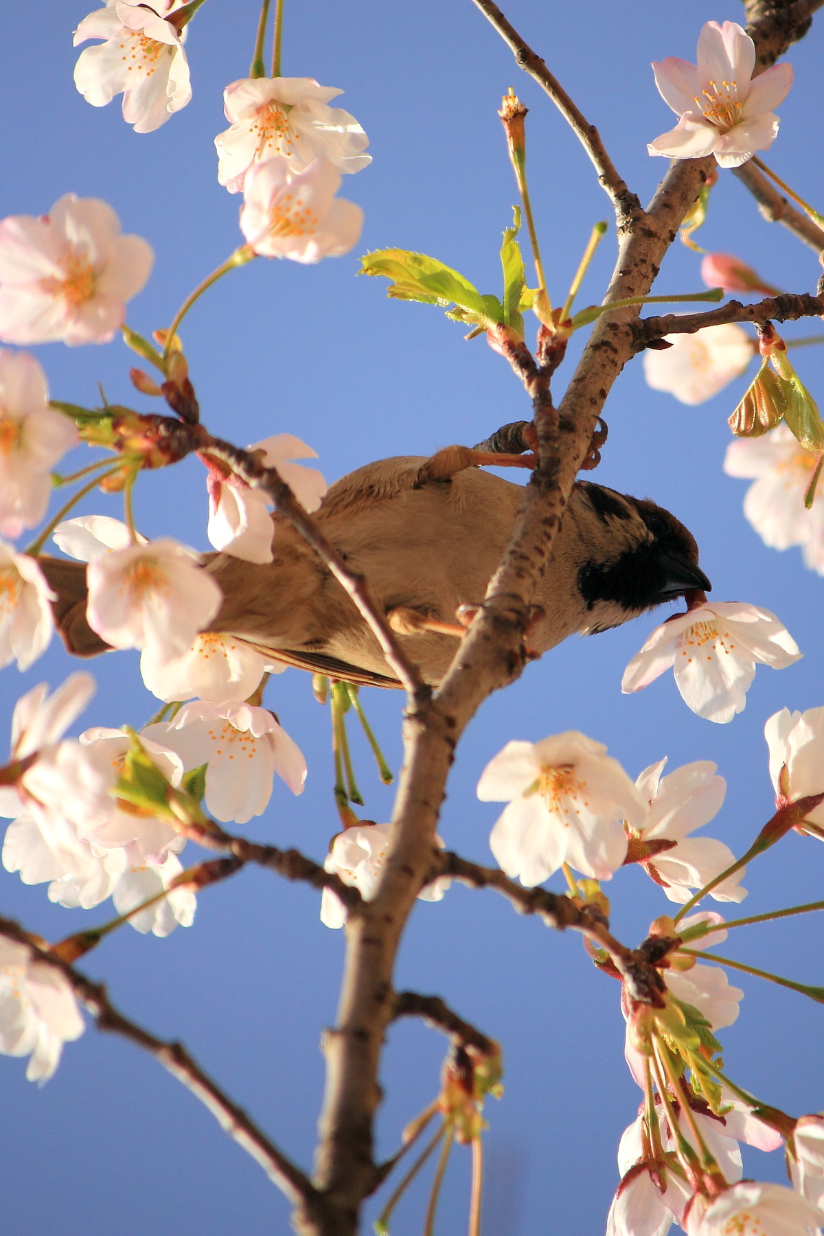 青岛中山公园，处处是风景