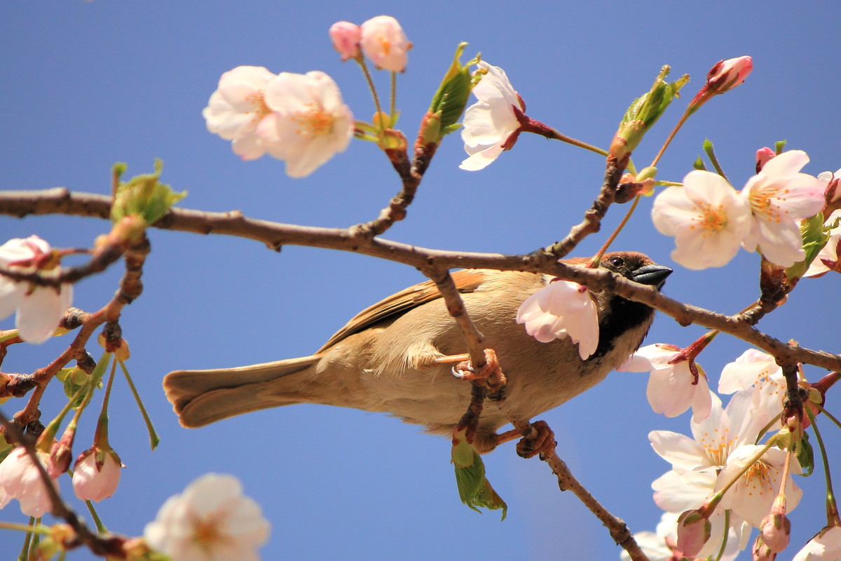 青岛中山公园，处处是风景