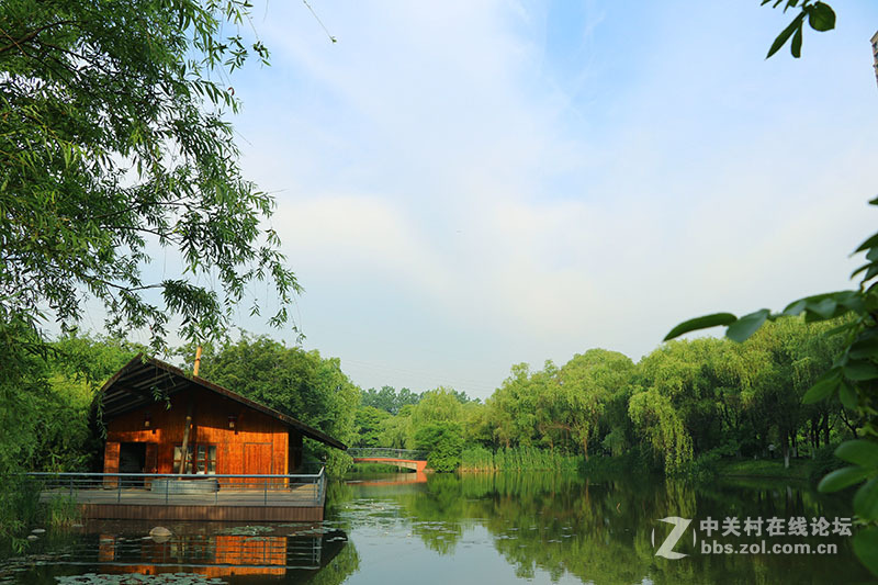 生活圈狭窄实在没什么好拍，题材也只有几多花了！