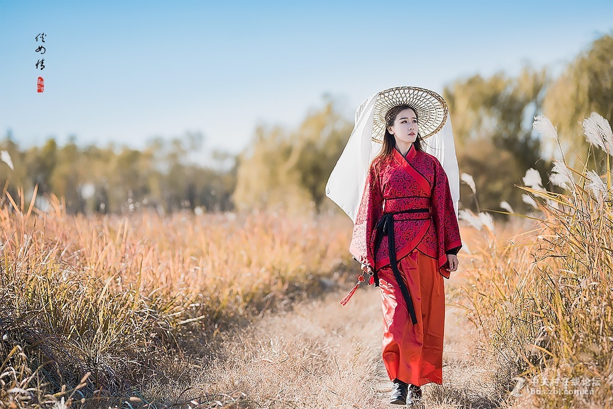 《侠女情》
