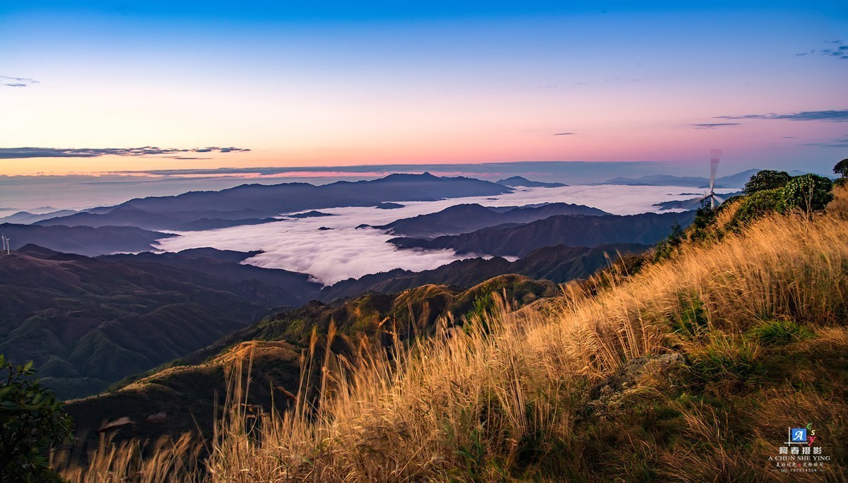 金紫山风光
