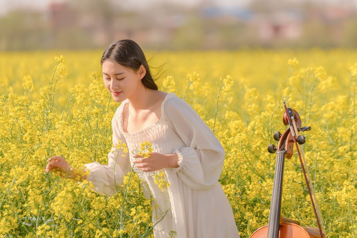 油菜花黄，琴声悠扬
