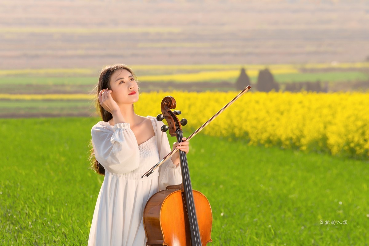 油菜花黄，琴声悠扬