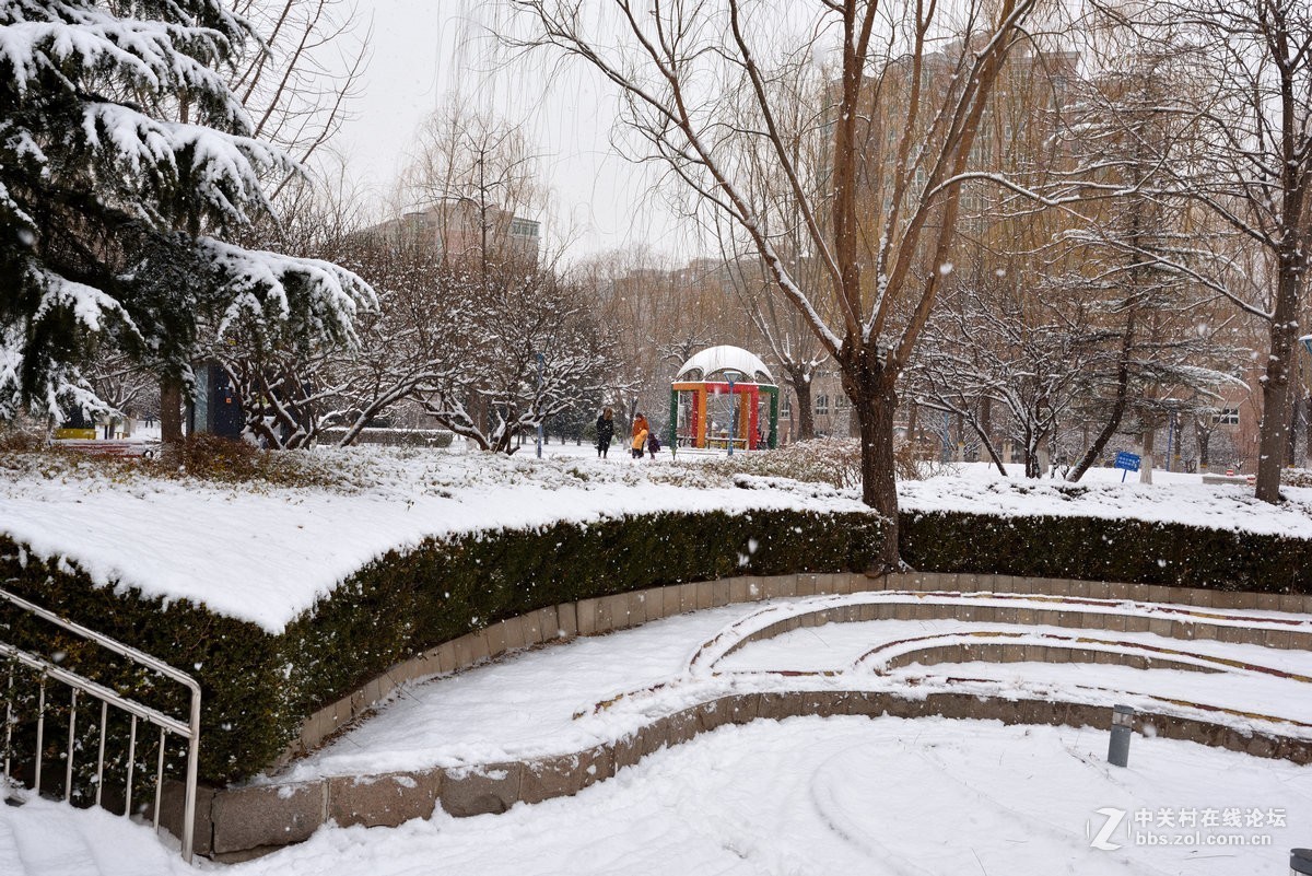 2019年我们小区的瑞雪