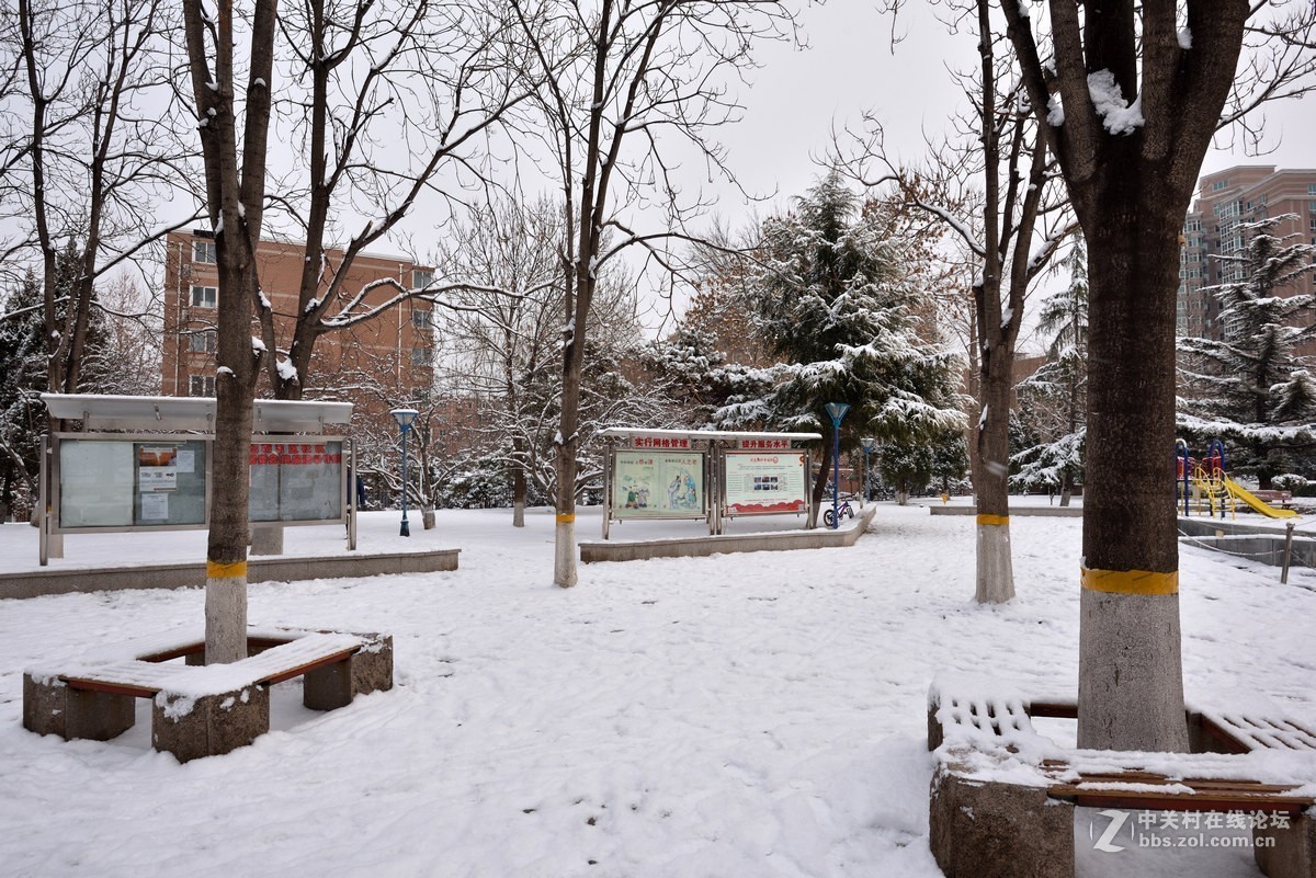 2019年我们小区的瑞雪