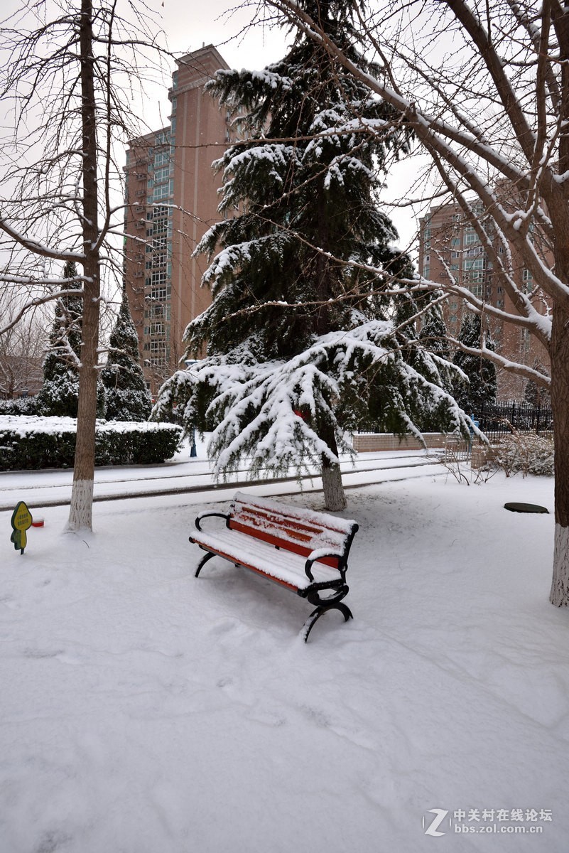 2019年我们小区的瑞雪