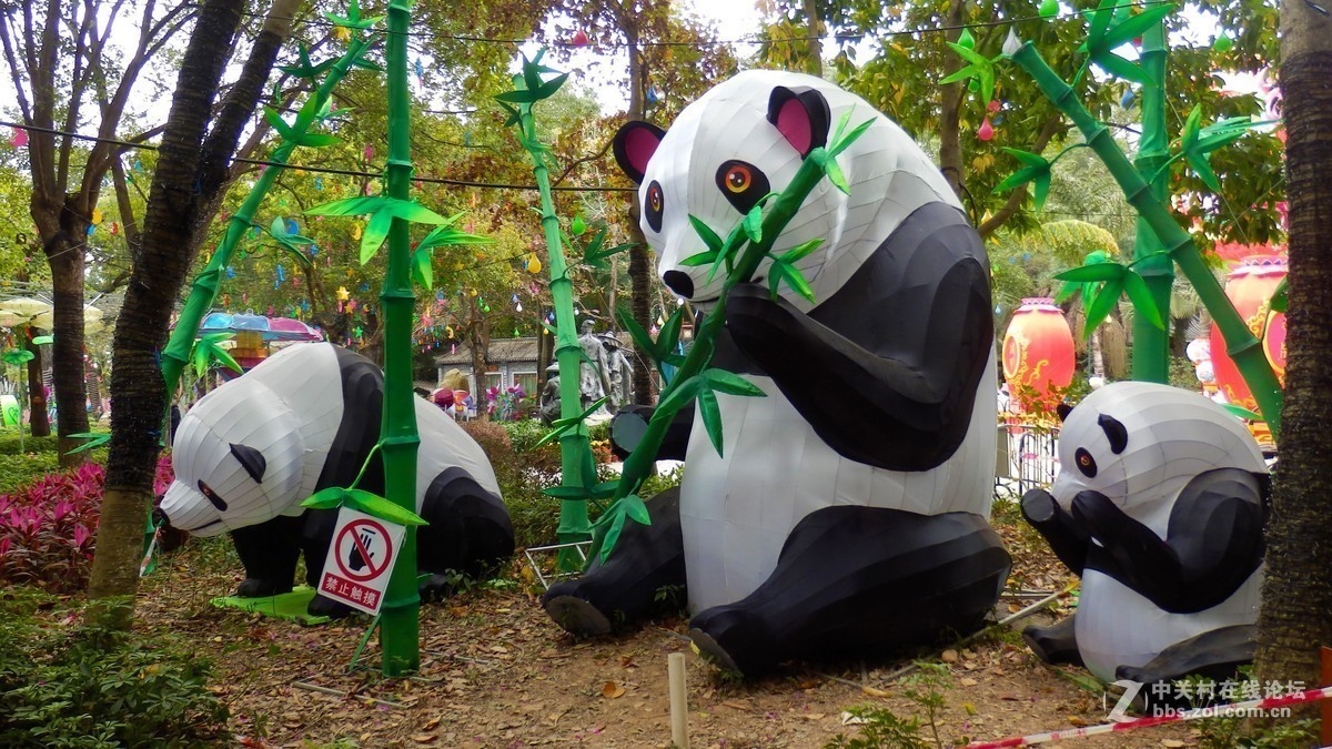 惠州西湖2019迎春花灯