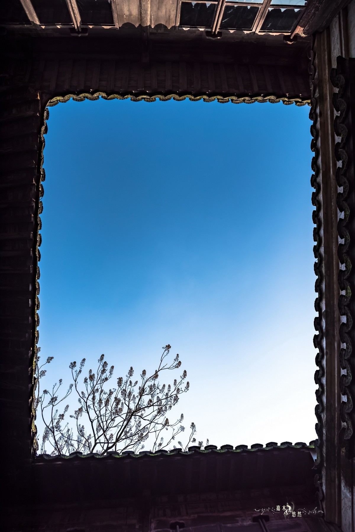 春节假期江浙沪纪行