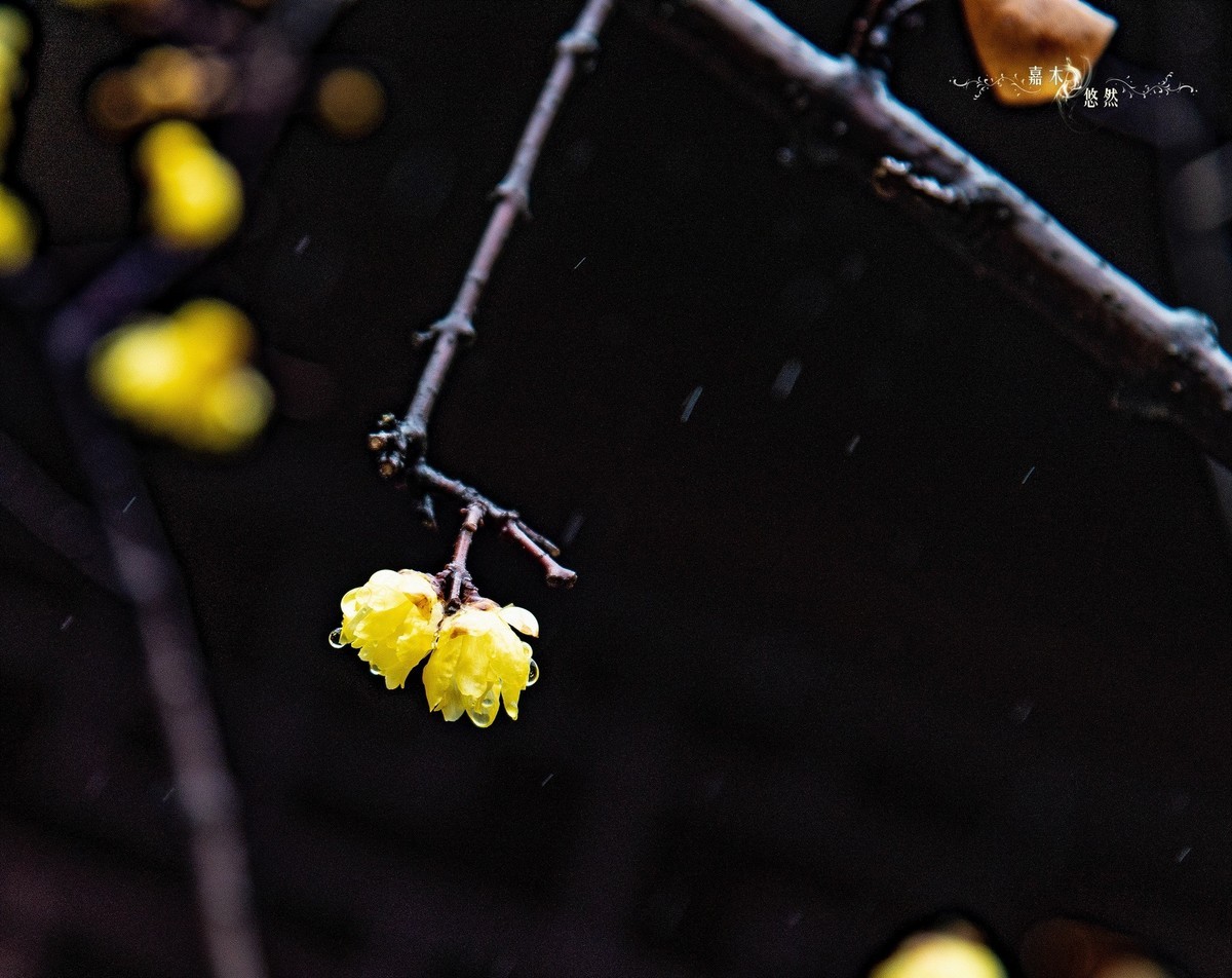 春节假期江浙沪纪行