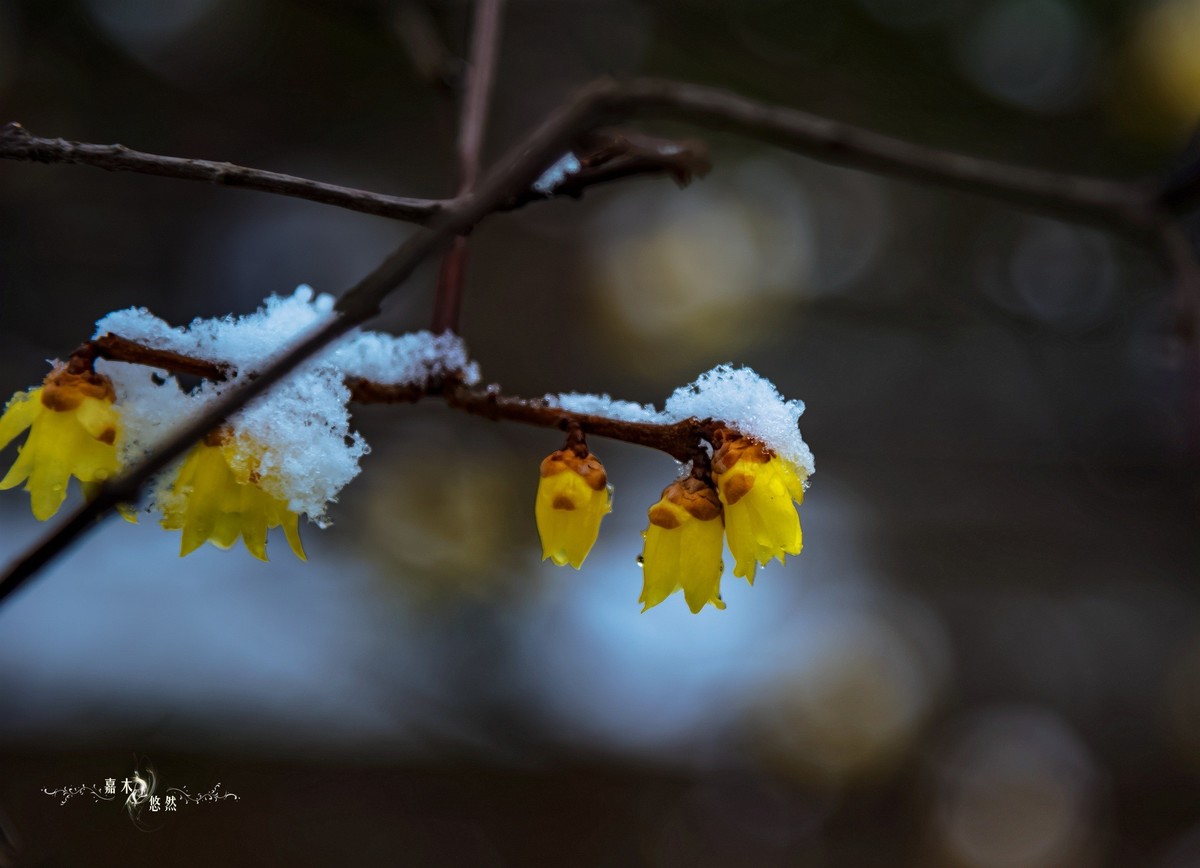 春节假期江浙沪纪行