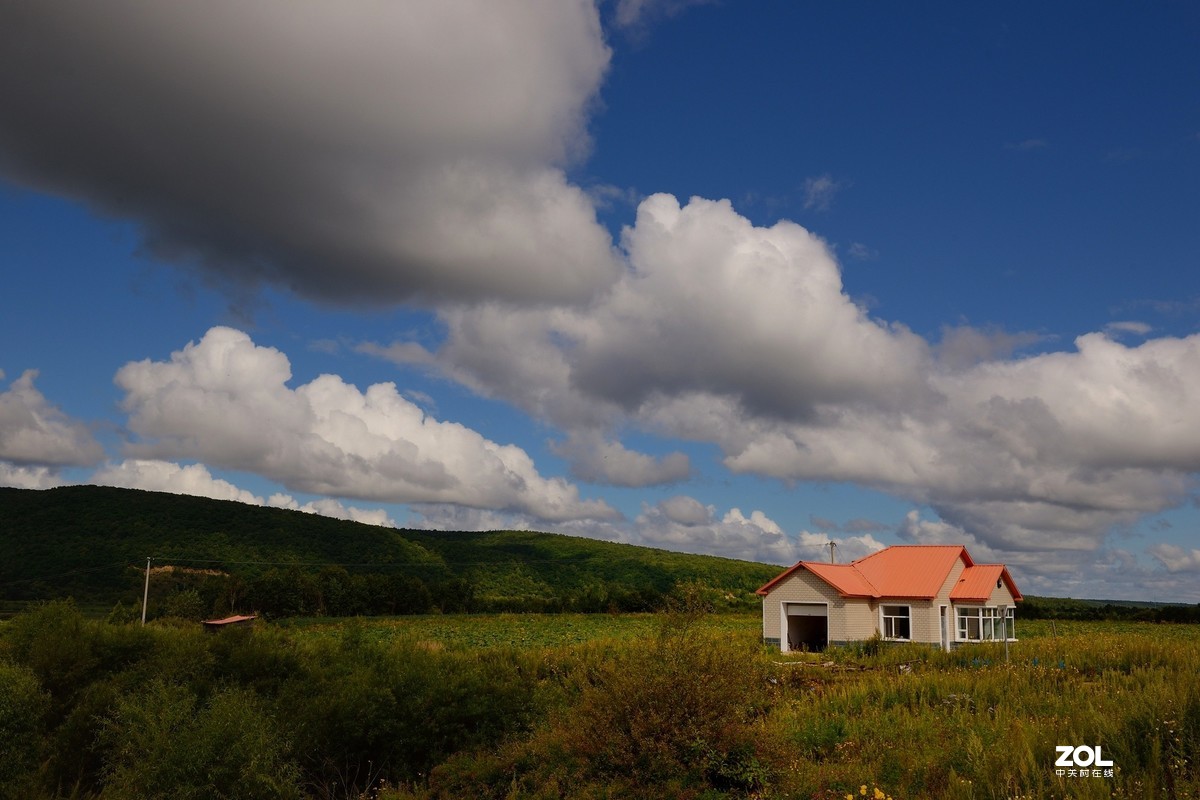 休闲随拍（384）