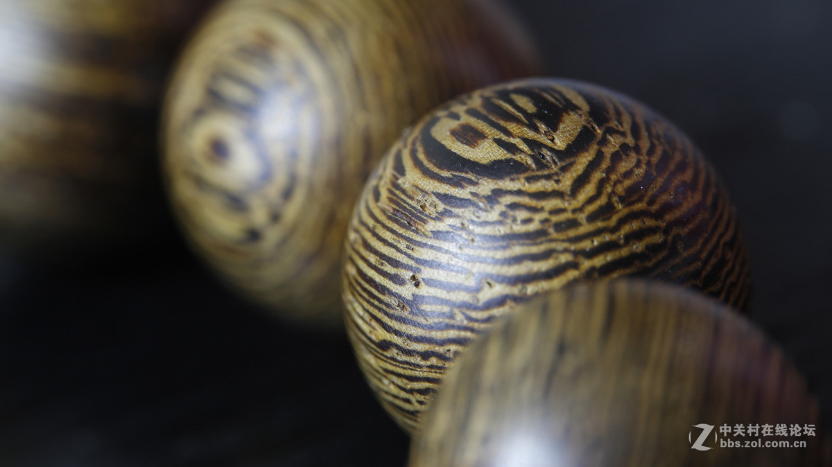 你相信这是70-200拍的么（最后有拍摄场景）