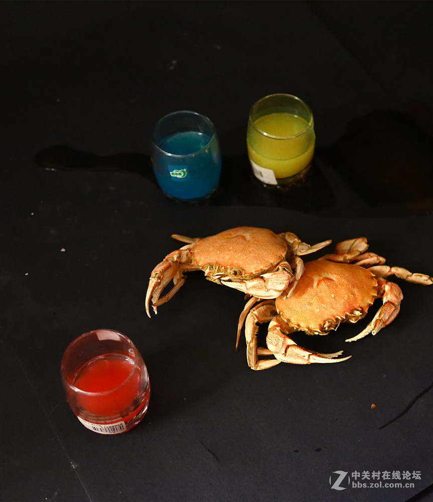 静物练习螃蟹玻璃杯