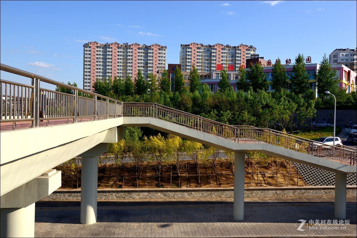 休闲随拍（308）