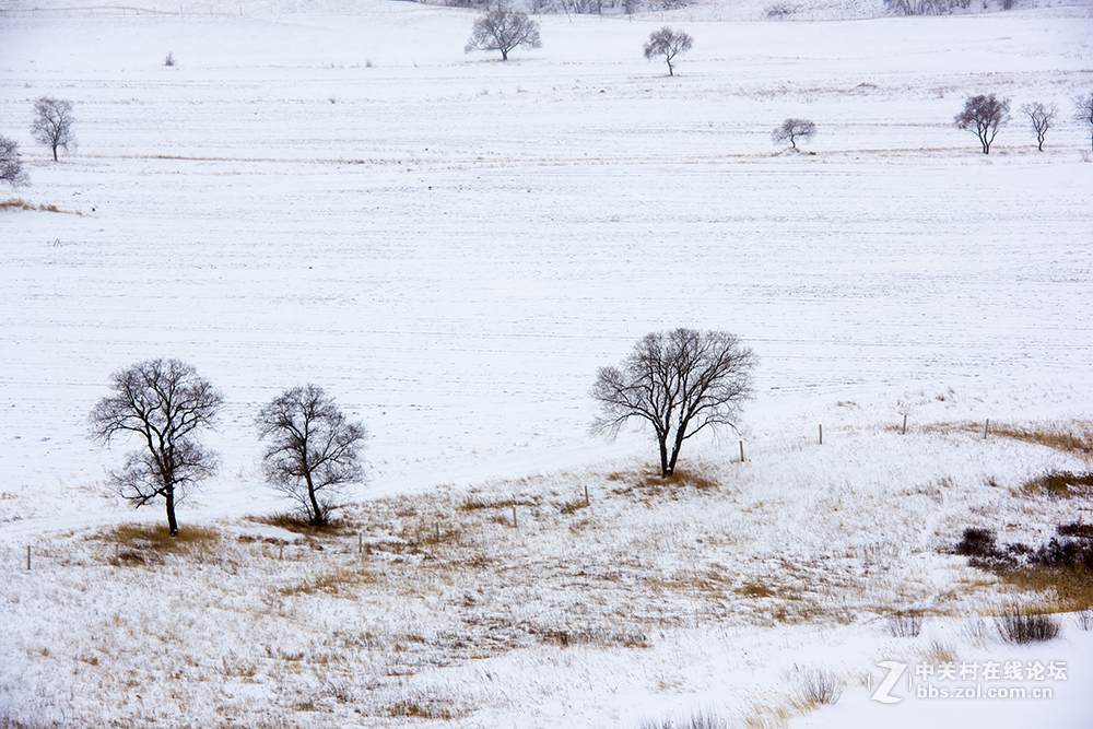 浓妆淡抹之坝上冬景